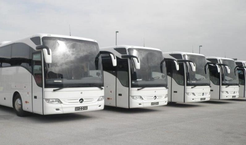 Leinster: Bus company in Balbriggan in Balbriggan and Ireland